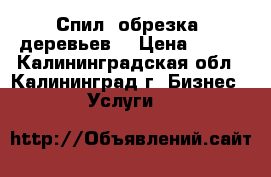 Спил ,обрезка  деревьев. › Цена ­ 500 - Калининградская обл., Калининград г. Бизнес » Услуги   